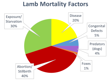 Lamb Mortality Rates